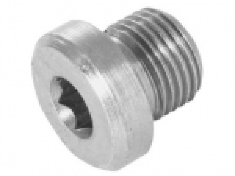 BSPT-PLUG-150x150-1